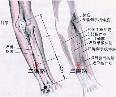 三 穴|醫砭 » 經穴庫 » 三間